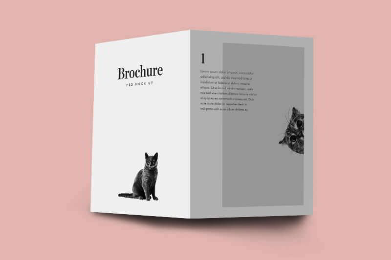 Designlazy-Brochure