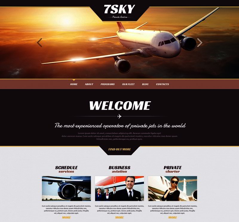 Private Airline Responsive WordPress Theme