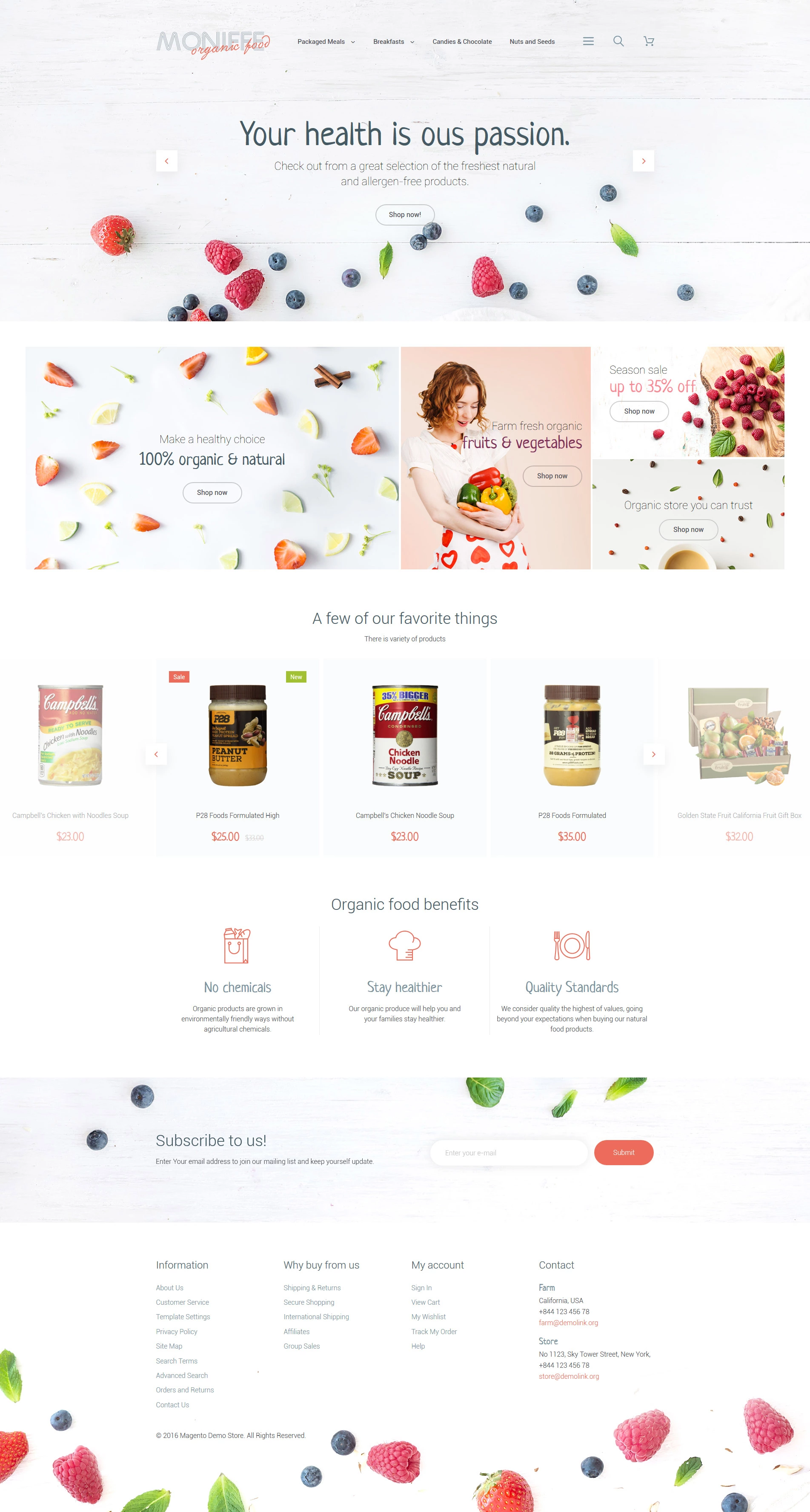 Magento Theme