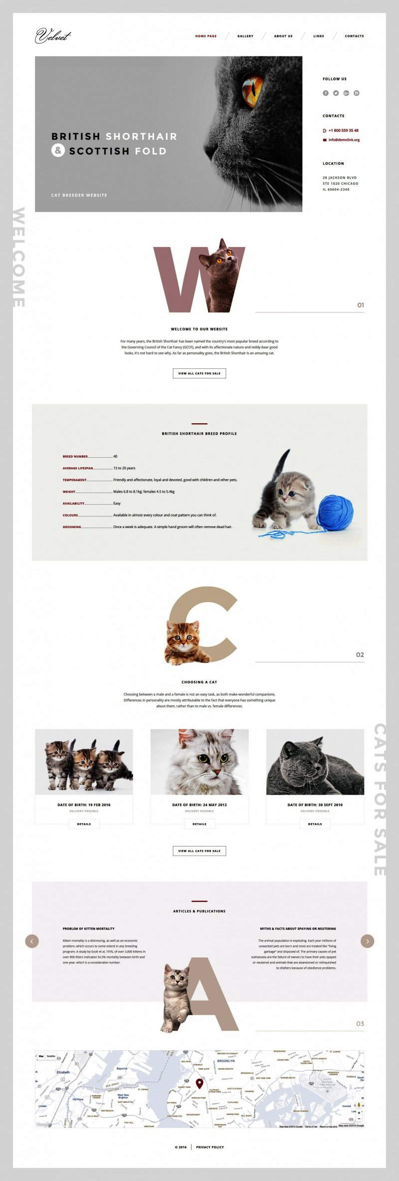 Cat Responsive Website Template