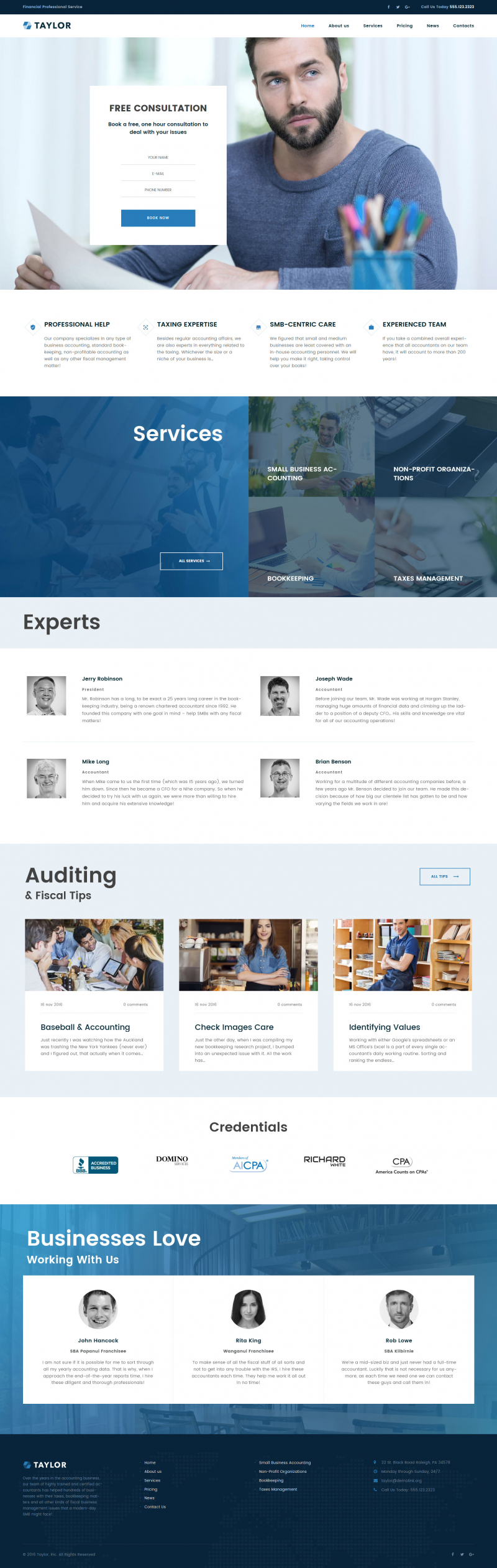 Taylor - Financial Accounting WordPress Theme