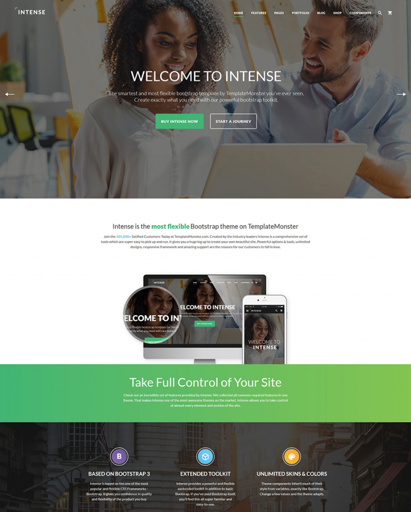 Intense Multipurpose Website Template