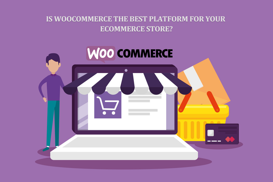 WooCommerce for Your eCommerce Store